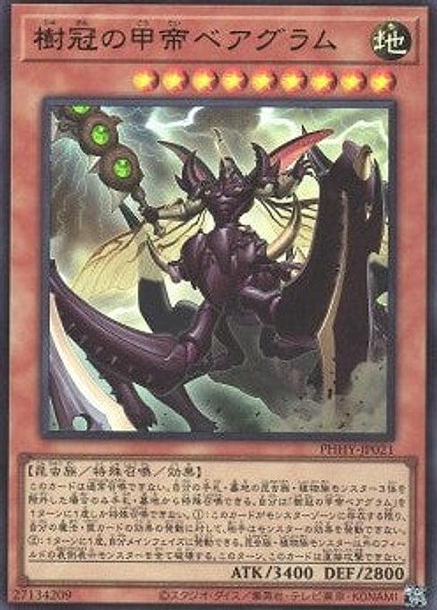 Beargram, Shelled Emperor of the Forest Crown — Photon Hypernova (OCG) (PHHY-JP-021) Yu-Gi-Oh! card Hauptbild