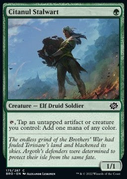 Citanul Stalwart - The Brothers' War (Common) [BRO-175] Imagen principal del producto