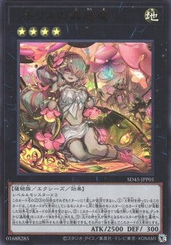 Traptrix Pinguicula (V.1 - Ultra Rare) - Structure Deck: Forest of the Traptrix (Ultra Rare) [SD45-P01] Hoofdafbeelding