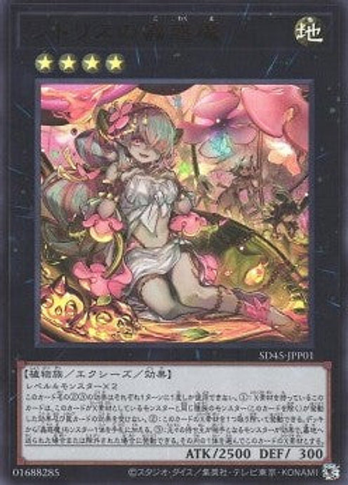 Traptrix Pinguicula — Structure Deck: Forest of the Traptrix (SD45-P01) Yu-Gi-Oh! card Hauptbild
