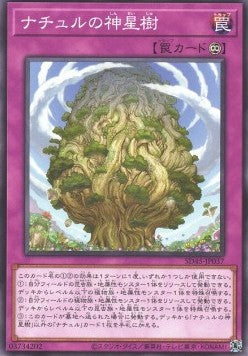 Naturia Sacred Tree - Structure Deck: Forest of the Traptrix (Common) [SD45-037]