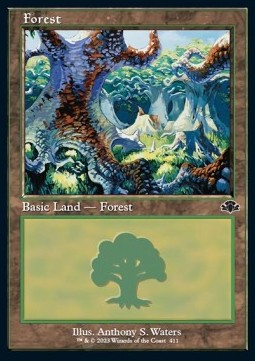 Forest (V.2) - Dominaria Remastered (Land) [DMR-411] Imagen principal del producto