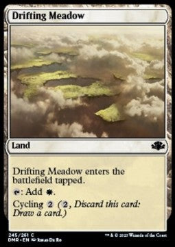 Drifting Meadow - Dominaria Remastered (Common) [DMR-245] Hover Image