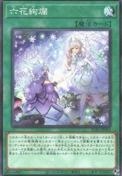 Rikka Glamour - Secret Utility Box (Parallel Rare) [SUB1-055] Imagen principal del producto