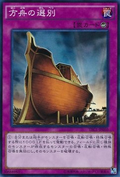 The Selection (V.1 - Super Rare) Image principale du produit