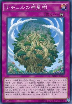 Naturia Sacred Tree - The New Challengers (OCG) (Common) [NECH-JP-076] Hover Image
