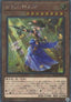 The Iris Swordsoul (V.5 - Extra Secret Rare) - Rarity Collection Quarter Century Edition (Extra Secret Rare) [RC04-024]