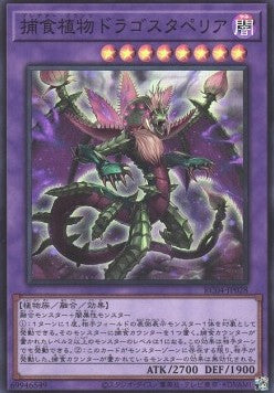 Predaplant Dragostapelia (V.1 - Super Rare) - Rarity Collection Quarter Century Edition (Super Rare) [RC04-028] Imagen principal del producto