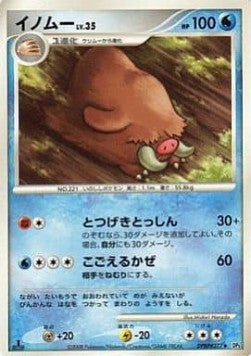 Piloswine Lv.35 - Temple of Anger (Uncommon) Main image