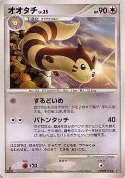 Furret Lv.35