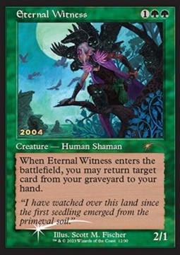 Eternal Witness Imagen principal del producto