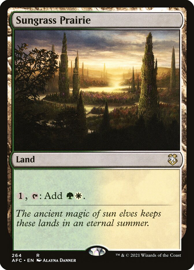 Sungrass Prairie - Commander: Adventures in the Forgotten Realms (Rare) [AFC-264] Hauptbild