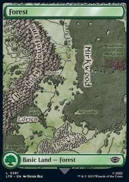 Forest (V.4) - The Lord of the Rings: Tales of Middle-earth (Land) [LTR-281] Image principale du produit