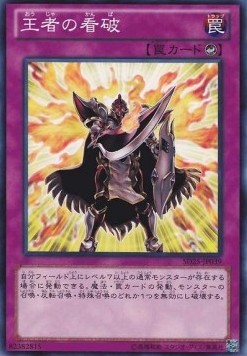 Champion's Vigilance - Structure Deck: The Blue-Eyed Dragon's Thundering Descent (Common) [SD25-039]
