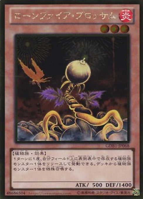 Lonefire Blossom — The Gold Box (GDB1-068) Yu-Gi-Oh! card Main image