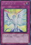 Photon Current