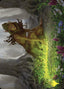 Skyshroud Claim // Skyshroud Claim – Commander Masters Art Series (ACMM-25) Magic: The Gathering card | LC-REM-20260804-15151694872908-71081c50-6498-4d45-a60a-6ec6e192d89f