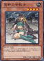 Warrior Lady of the Wasteland — Starter Deck 2011 (YSD6-020) Yu-Gi-Oh! card