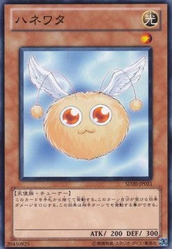 Hanewata - Structure Deck: Lost Sanctuary (OCG) (Common) [SD20-021] Hauptbild