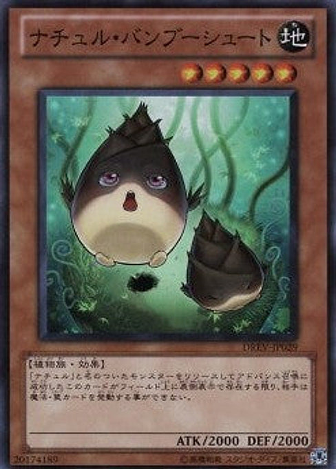 Naturia Bamboo Shoot — Duelist Revolution (OCG) (DREV-JP-029) Yu-Gi-Oh! card Main image
