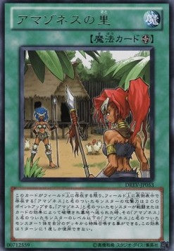 Amazoness Village - Duelist Revolution (OCG) (Rare) [DREV-JP-053] Hover Image