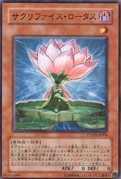 Samsara Lotus - Phantom Darkness (OCG) (Common) [PTDN-JP-004]