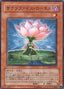 Samsara Lotus — Phantom Darkness (OCG) (PTDN-JP-004) Yu-Gi-Oh! card