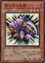 Spirit Reaper — Structure Deck: Revival of the Great Dragon (SD13-009) Yu-Gi-Oh! card