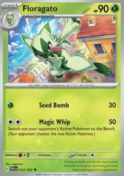 Floragato - Paldea Evolved (Uncommon) [PAL-014] Hover Image