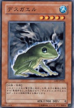 Des Frog Image principale du produit