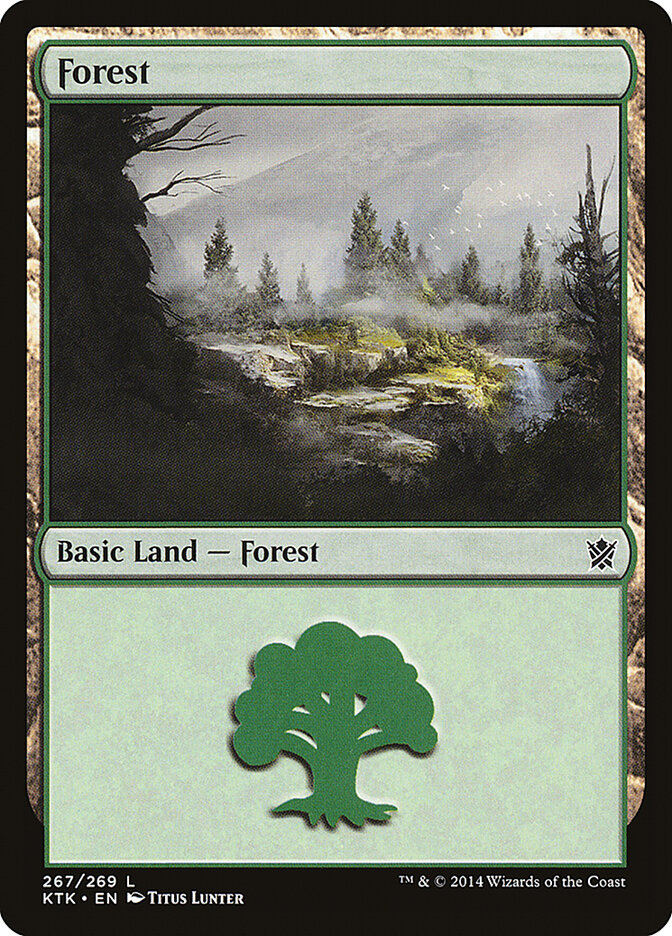 Forest (V.2) - Khans of Tarkir (Land) [KTK-267] Hauptbild