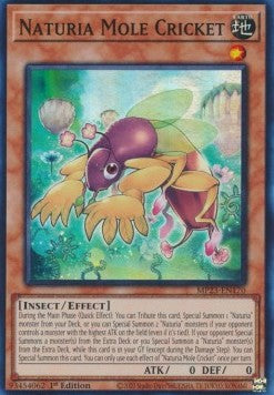 Naturia Mole Cricket - 25th Anniversary Tin: Dueling Heroes Mega Pack (Super Rare) [MP23-170] Main image