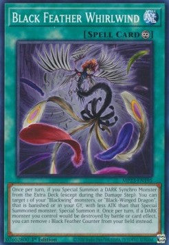 Black Feather Whirlwind - 25th Anniversary Tin: Dueling Heroes Mega Pack (Common) [MP23-195] Main image