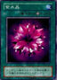 Violet Crystal — Legend of Blue Eyes White Dragon (Japanese) (LB-41) Yu-Gi-Oh! card