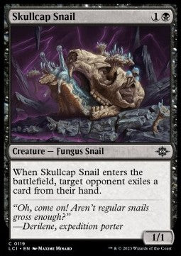 Skullcap Snail Immagine principale del prodotto