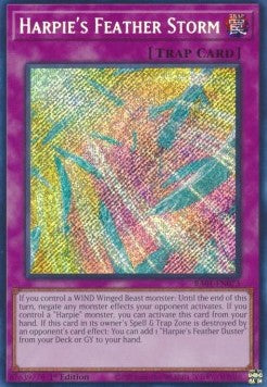Harpie's Feather Storm (V.3 - Secret Rare) - 25th Anniversary Rarity Collection (Secret Rare) [RA01-073] Hoofdafbeelding