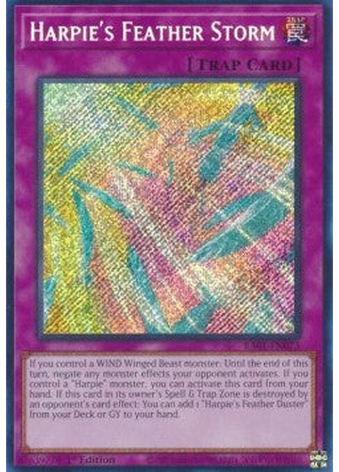 Harpie's Feather Storm — 25th Anniversary Rarity Collection (RA01-073) Yu-Gi-Oh! card Immagine principale del prodotto