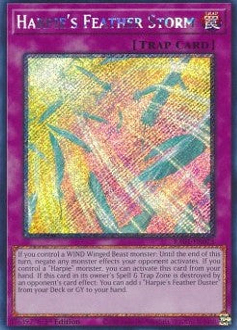 Harpie's Feather Storm — 25th Anniversary Rarity Collection (RA01-073) Yu-Gi-Oh! card Main image