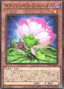 Samsara D Lotus — Phantom Nightmare (OCG) (PHNI-JP-003) Yu-Gi-Oh! card