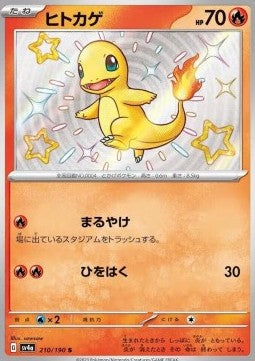 Charmander - Shiny Treasure ex (Holo Rare) [sv4a-210] Hover Image