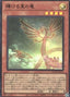 Shining Star Dragon — Quarter Century Duelist Box (QCDB-003) Yu-Gi-Oh! card