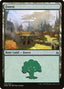 Forest (V.2) - War of the Spark (Land) [WAR-263]