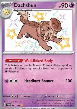 Dachsbun - Paldean Fates (Shiny Rare) [PAF-161] Hover Image