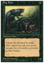Bog Rats