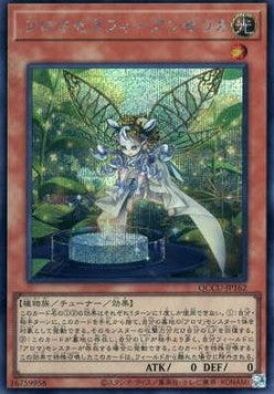 Aromaseraphy Angelica (V.2 - Secret Rare) - Quarter Century Chronicle side:Unity (Secret Rare) [QCCU-162] Hoofdafbeelding