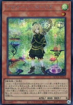 Aromage Laurel (V.2 - Secret Rare) - Quarter Century Chronicle side:Unity (Secret Rare) [QCCU-163] Hoofdafbeelding