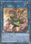 Aussa the Earth Charmer, Immovable — Quarter Century Chronicle side:Pride (QCCP-189) Yu-Gi-Oh! card