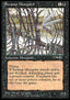 Swamp Mosquito (V.2)