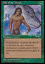 Gift of the Woods (V.2) - Alliances (Common)