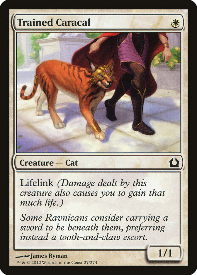 Trained Caracal - Return to Ravnica (Common) [RTR-27]